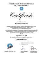 Мяч гимнастический глиттер флуоресцентный «Розовый Неон»