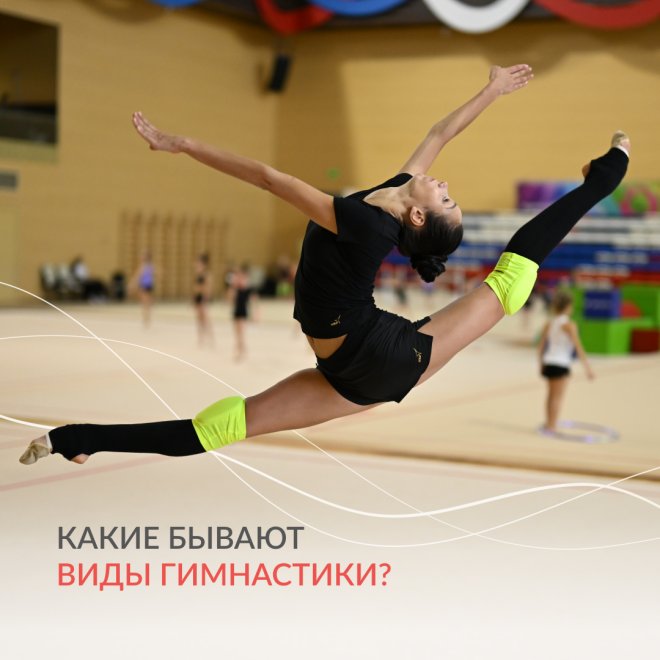 Какие бывают виды гимнастики?