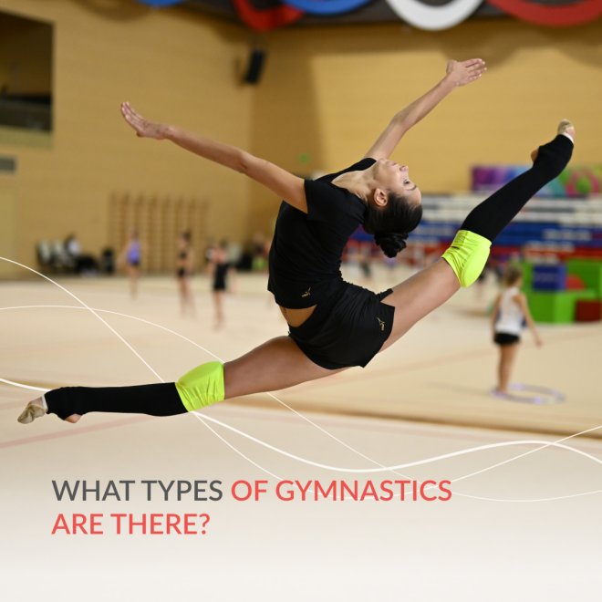 What are the types of gymnastics?